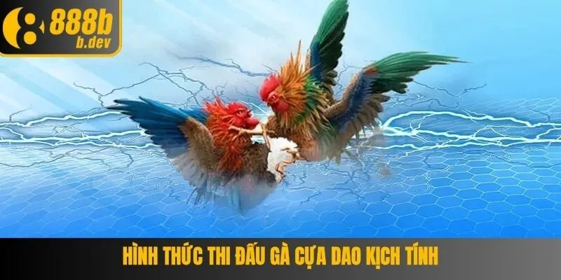 Kinh nghiệm chơi kèo đá gà cựa dao bất bại