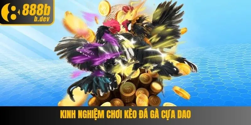 Trận đấu đá gà cựa dao nghẹt thở